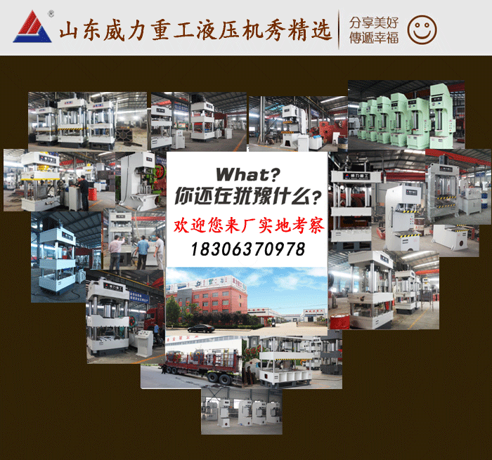 315噸大臺(tái)面液壓機(jī)